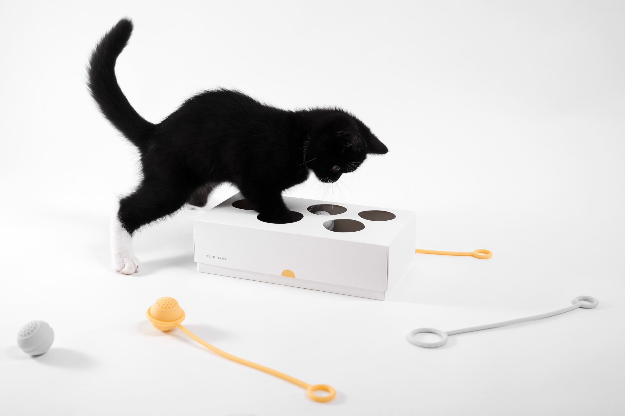 iF Design duo goods_new type of cat toy
