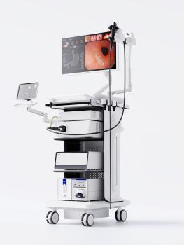 Intelligent Endoscopy Assistance System