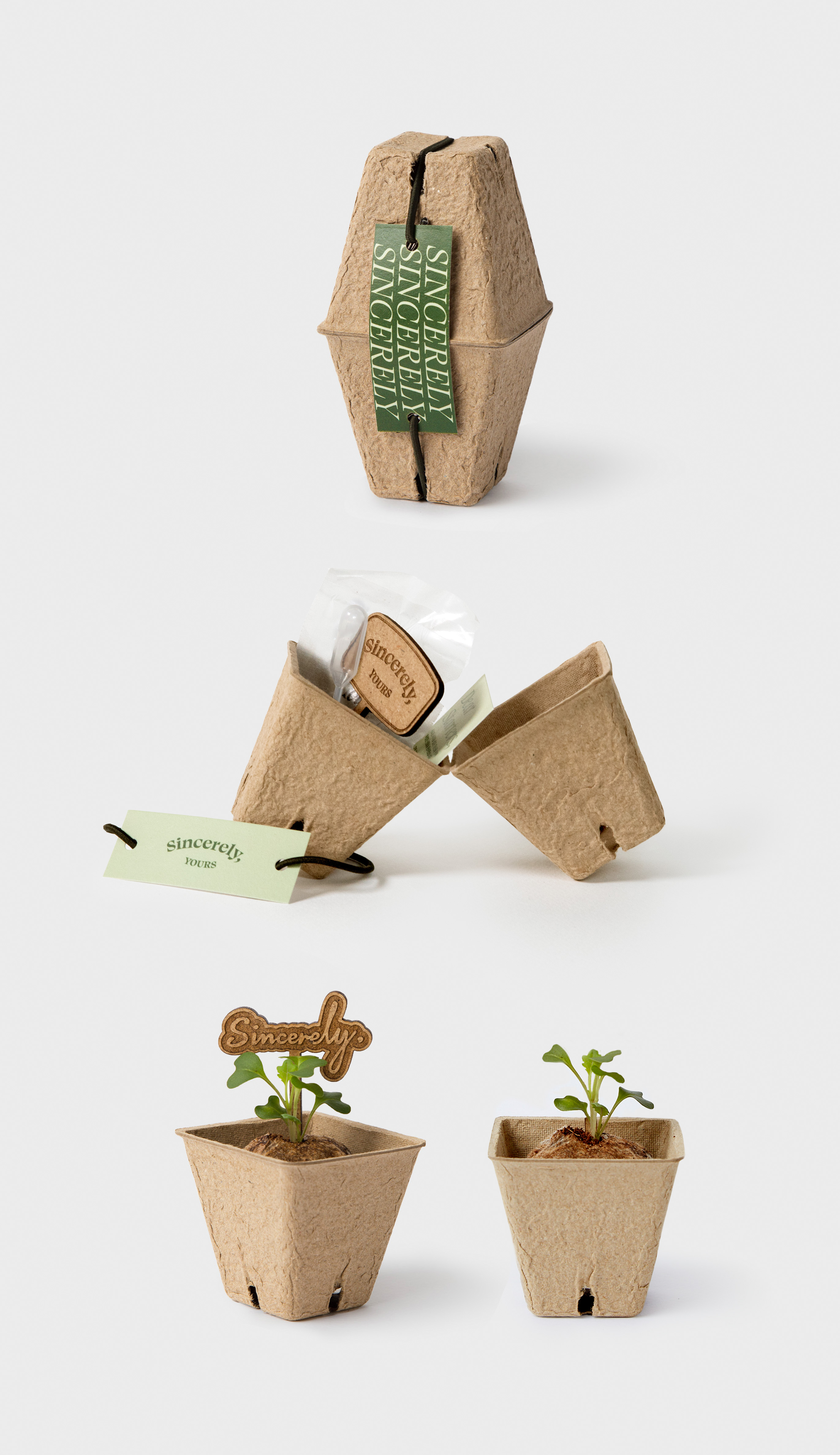 Seed Pot-kage : A Package becomes plant pots.