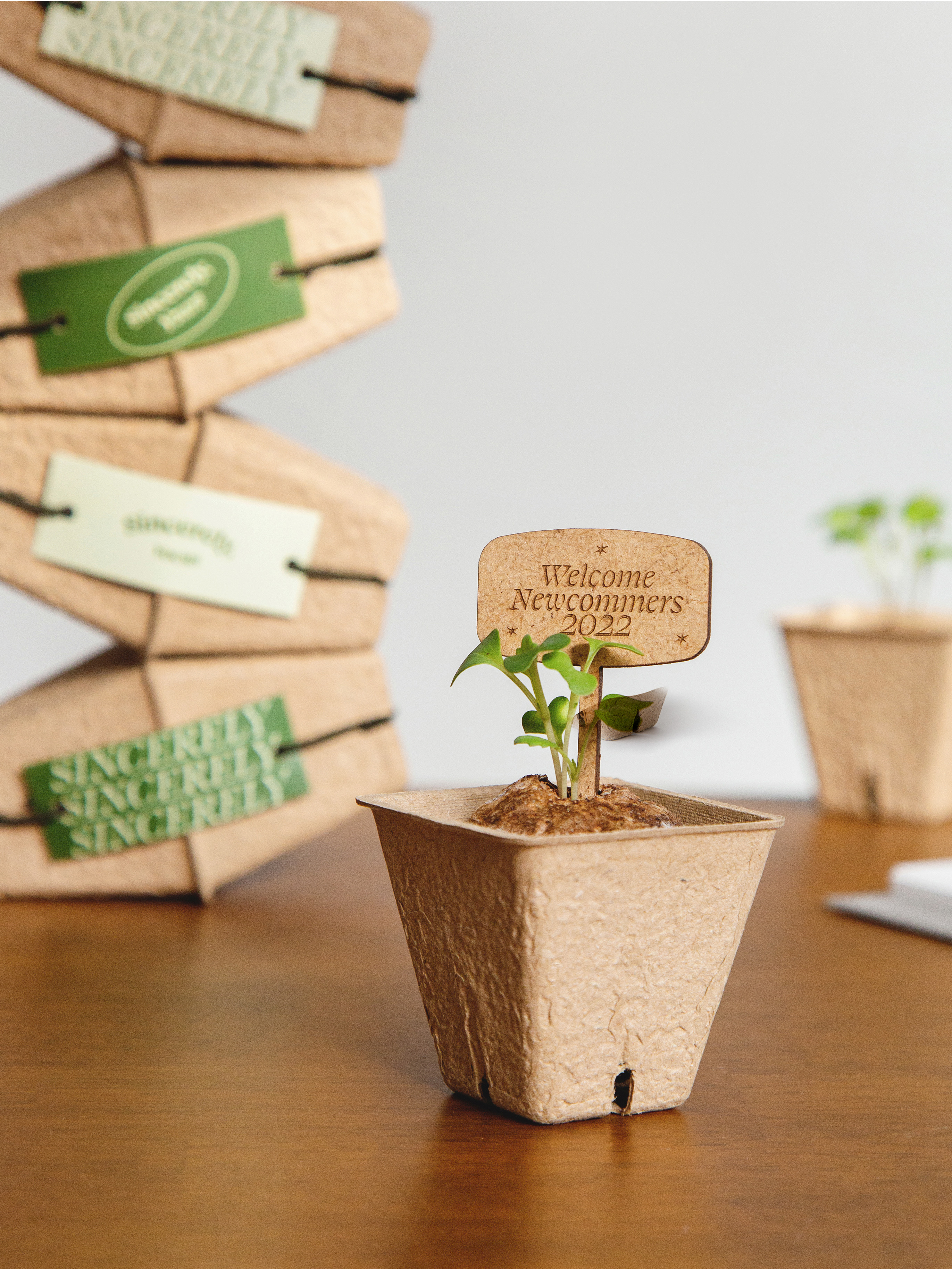 Seed Pot-kage : A Package becomes plant pots.
