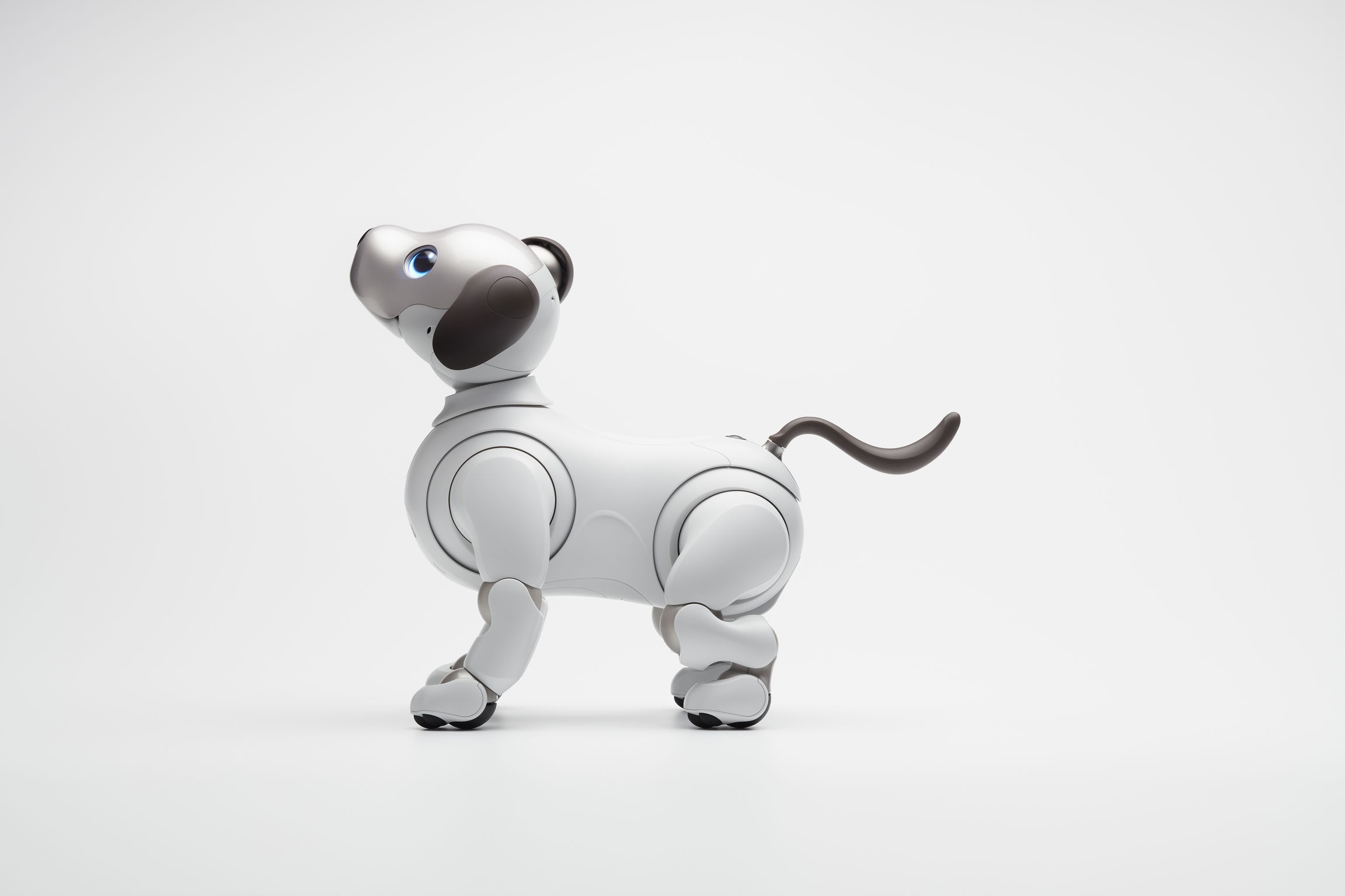 aibo (ERS1000)