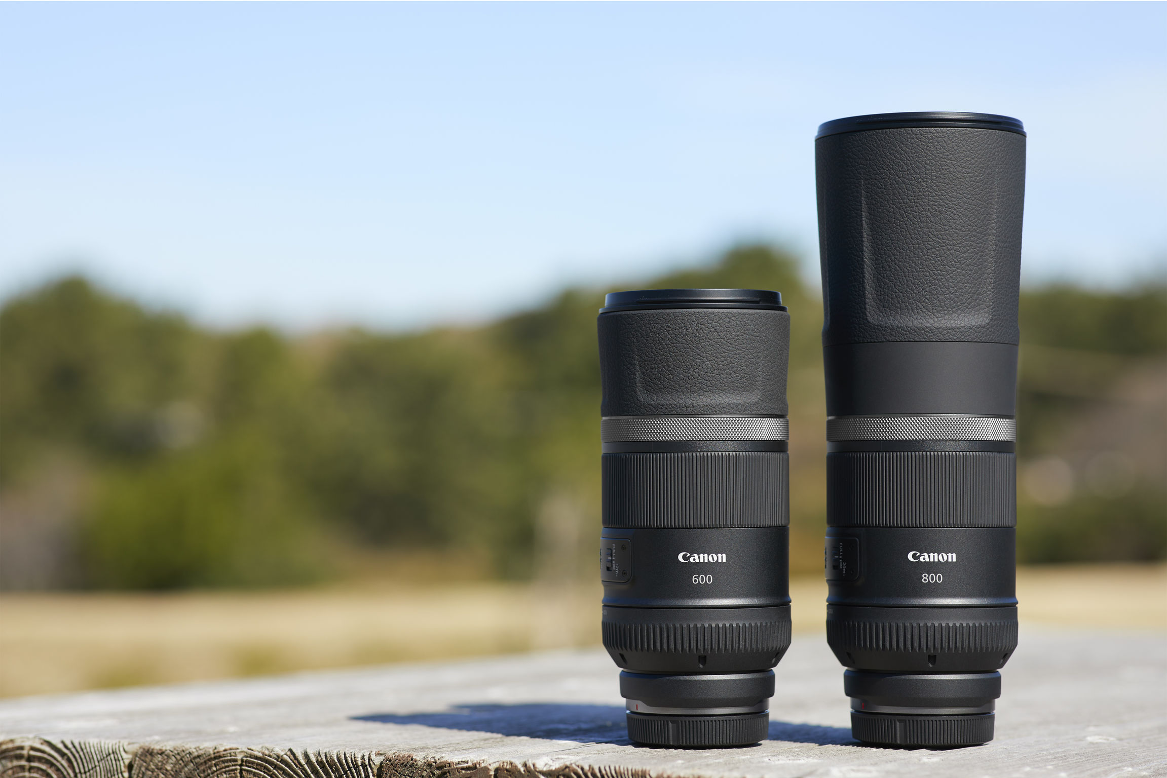 RF600mm F11 IS STM / RF800mm F11 IS STM