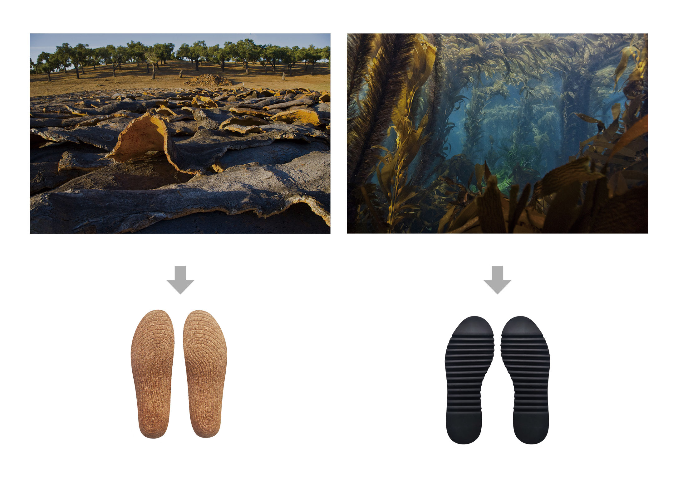 iF Design CONIFER FIBER ENVIRONMENTAL PROTECTION SHOES