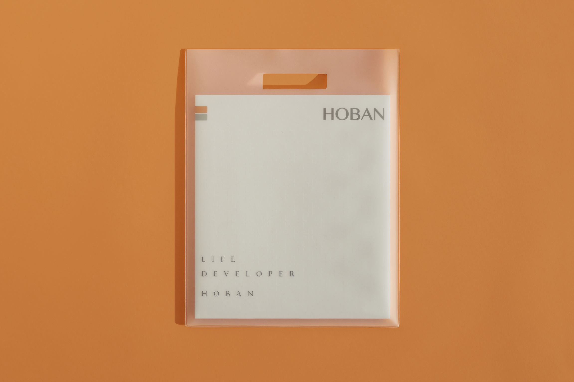 iF Design Hoban Group Brochure