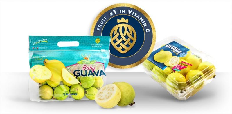 Era 40oz  Guava (PRE-ORDER, SHIPS AROUND 01/31/2024)